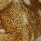 Aurora® - Miyoni® -  Fawn